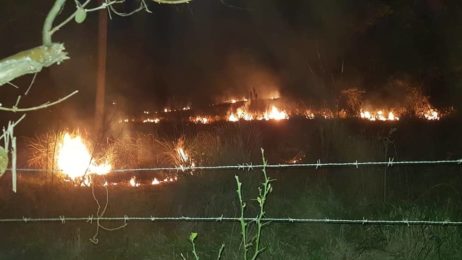 INCENDIO EN SANTO PIPO 2