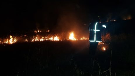 INCENDRIO EN SANTO PIPO 3