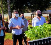 En 100 días de pandemia la agroindustria misionera motoriza la economía